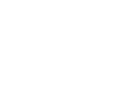 Evolution games at Highroller Haven Casino