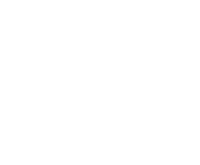 NetEnt games at Highroller Haven Casino